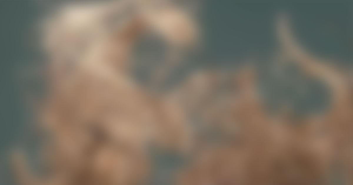 The Matter of Design background