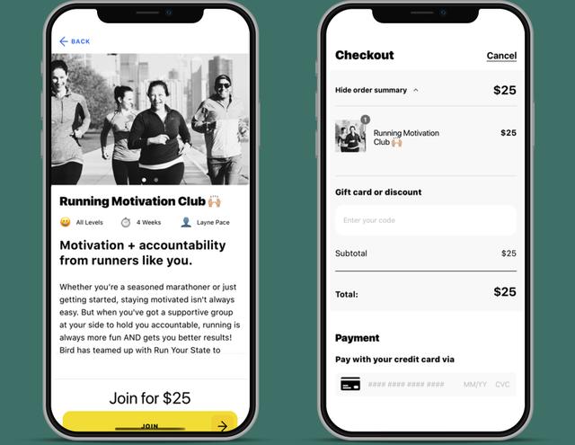 Bird Running gallery image 1