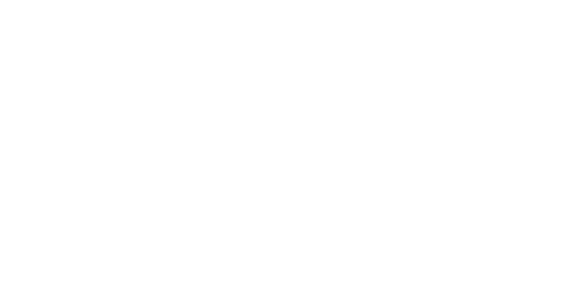 Bird Running logo
